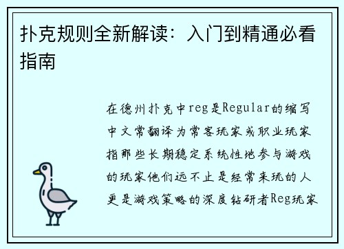 扑克规则全新解读：入门到精通必看指南